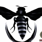 Unveiling the Symbolism of Seeing a Black Flying Bee in Your Dreams