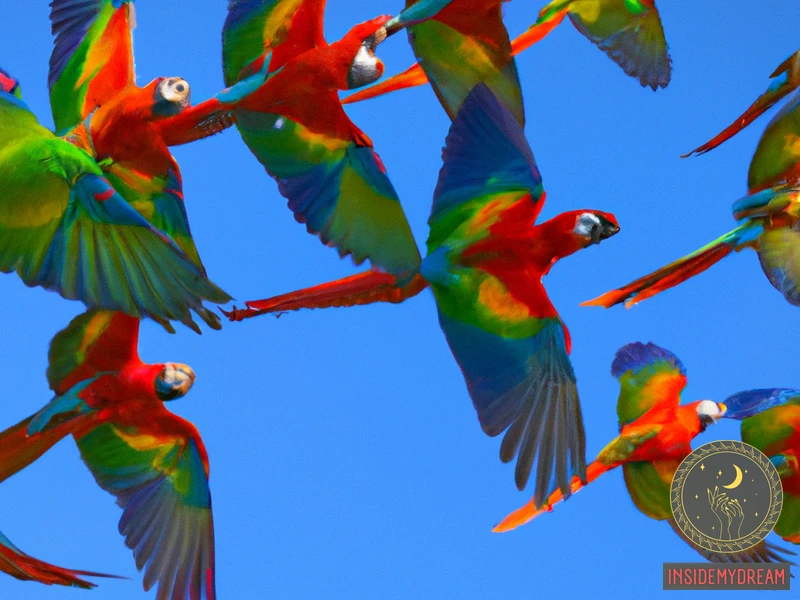 Common Parrot Dream Scenarios