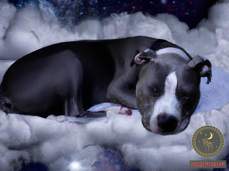 Grey Pitbull Dreams: What Do They Mean?