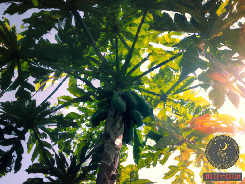 Interpretations Of Seeing A Green Papaya Tree
