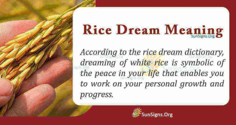 Interpreting White Rice Dreams