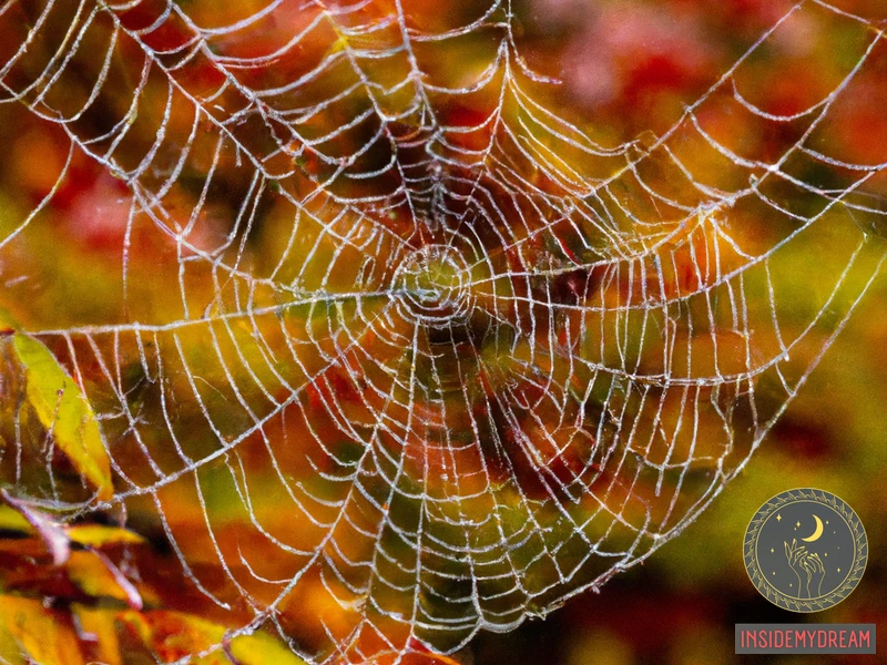 Symbolism Of Spiderwebs