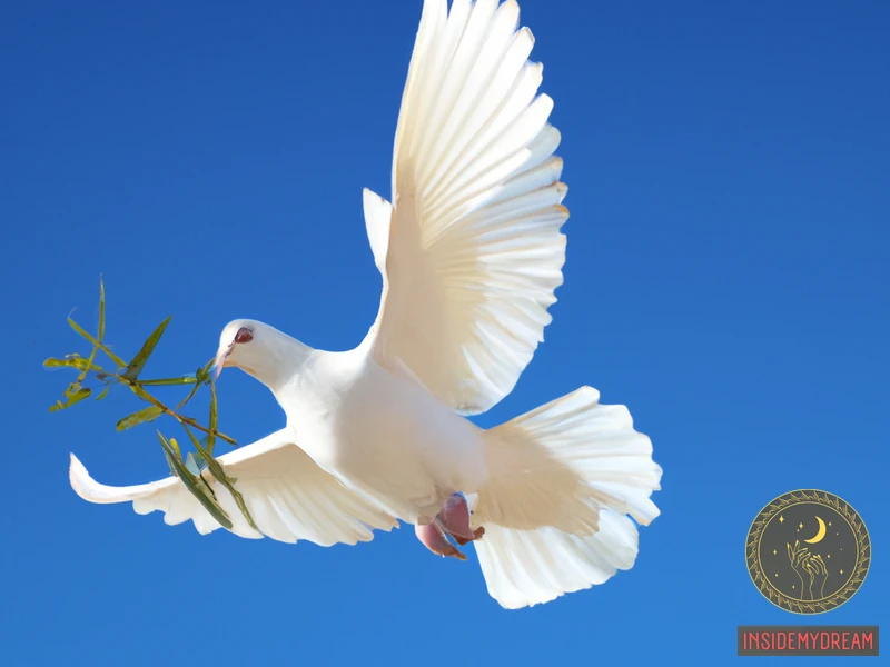 Symbolism Of White Dove
