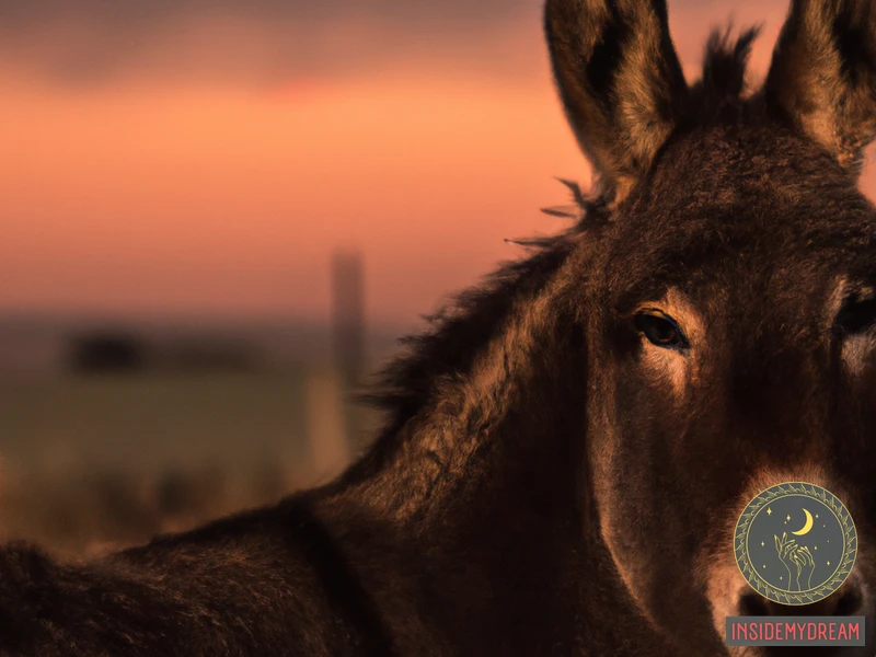 The Symbolism Of A Brown Donkey In Dreams