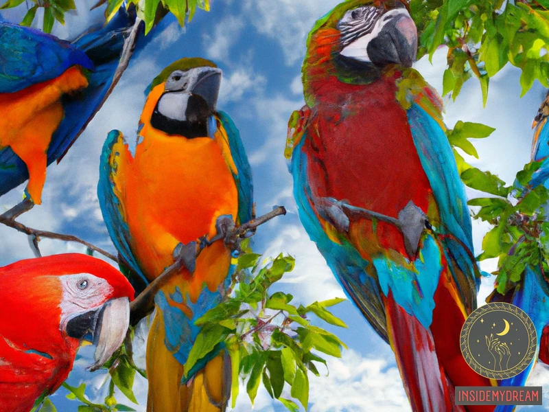 The Symbolism Of Parrots