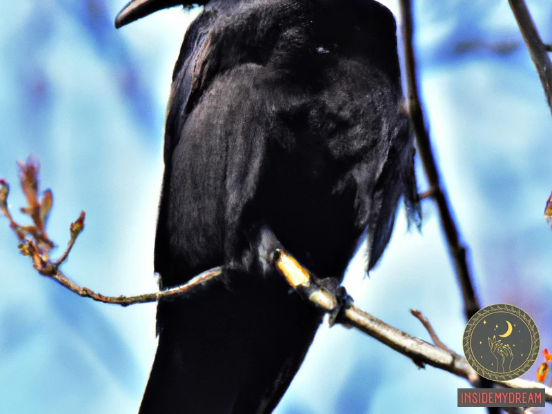Understanding Crow Symbolism