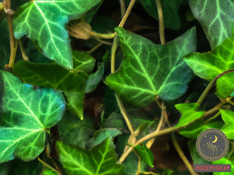 Understanding Poison Ivy