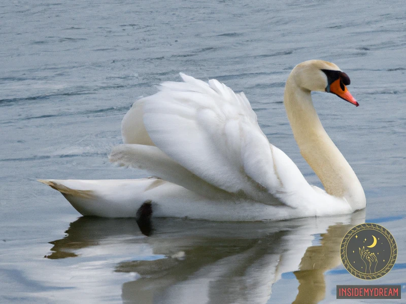 Understanding Swan Symbolism