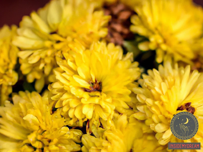 Understanding The Symbolism Of Yellow Flowers