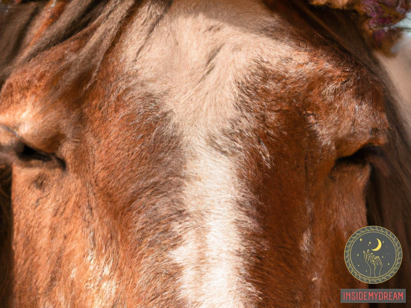 Why Do Horse Head Dreams Occur?