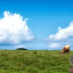 The Hidden Symbolism Behind Cow Eating Grass Dreams