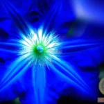 Decoding the Hidden Messages: Blue Flowers Dream Meaning