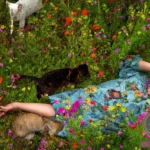 Uncovering the Symbolism of Being Attacked by Cats in Dreams