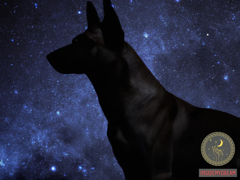 Dreaming Of Belgian Malinois: What Does It Symbolize?
