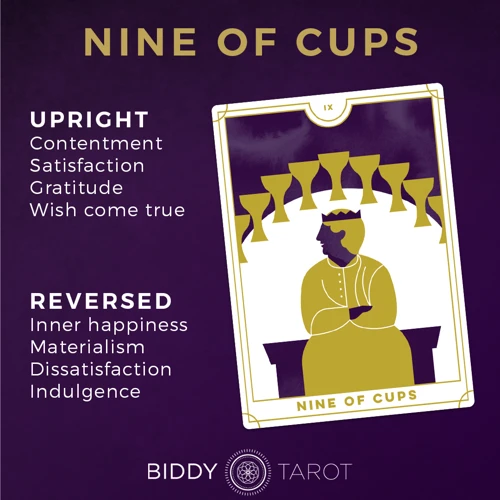 Overview Of The Nine Of Cups Tarot Card